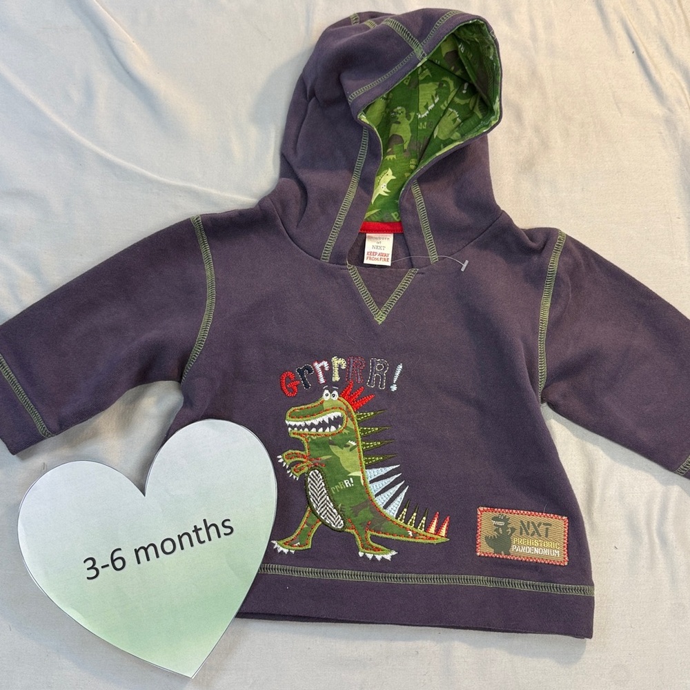 Next - NWOT - Kids Dinosaur Hoodie - purple and Green